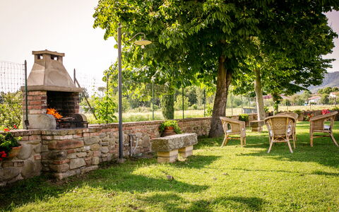 Villa Gelsi: Giardino, Prato, Shade, Mobili Da Esterno, Cortile, Landscaping, Backyard, Parco, Sedia, Eco Hotel