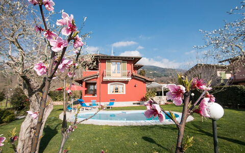 Villa Camaiore: Casa, Casa, Giardino, Prato, Estate, Cortile, Landscaping, Hacienda, Agriturismo, Backyard