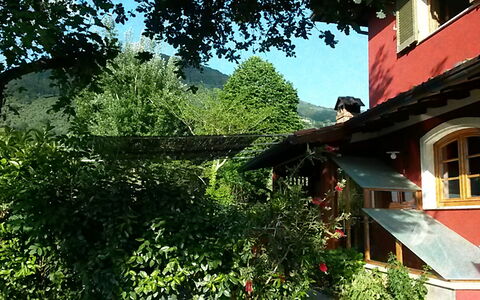 Villa Camaiore: Area Rurale, Villetta, Giardino, Villaggio, Cortile, Backyard, Hacienda