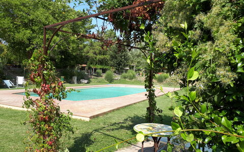 Appartamento Rustico, Wifi, Perugia: Arbusto, Giardino, Shade, Primavera, Backyard, Cortile, Prato, Landscaping, Vaso Di Fiori