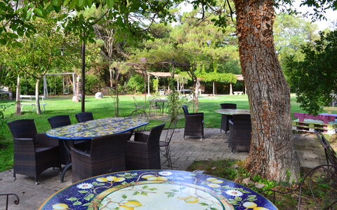 Appartamento Rustico, Wifi, Perugia: Mobilia, Tavolo, Mobili Da Esterno, Sedia, Giardino, Tavolo Esterno, Shade, Prato, Primavera, Backyard
