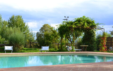 Appartamento La Vecchia Cedraia, Wifi, Perugia: Piscina, Mobili Da Esterno, Ricorrere, Giardino, Shade, Tempo Libero, Eco Hotel, Landscaping, Backyard