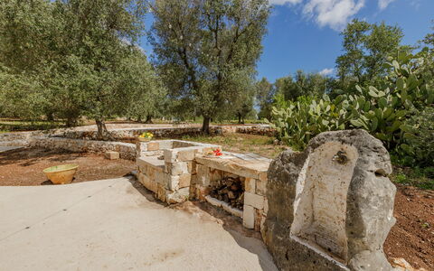 Trullo Quattro Carrini: Albero, Tronco, Woody Impianto, Giardino, Suolo, Landscaping, Shade