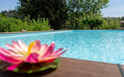 Casale La Pieve: Acqua, Piscina, Giardino, Landscaping, Ricorrere, Giochi D'Acqua, Eco Hotel, Giardino Botanico, Backyard