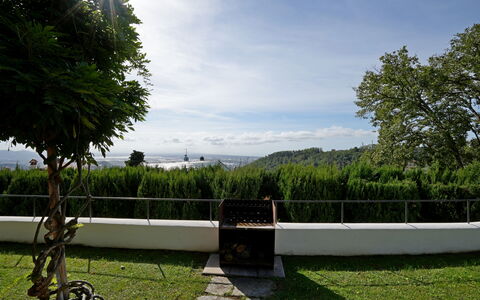 Villa Corsanico: Luce Del Sole, Giardino, Prato, Shade, Landscaping, Sempreverde, Parco