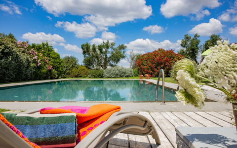 Villa Flaminia: Acqua, Piscina, Mobili Da Esterno, Arbusto, Giardino, Mobilia, Sedia, Ricorrere, Tempo Libero, Eco Hotel