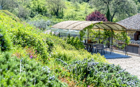 Villa Trasimena: Vegetazione, Arbusto, Giardino, Paesaggio, Comunita 'Impianto, Groundcover, Primavera, Landscaping, Giardino Botanico