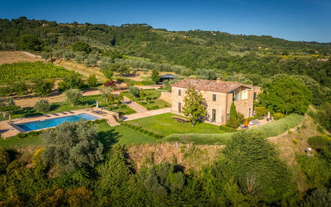 Podere Vigna Nuova: Estate, Cibo, Piantagione, Agricoltura, Piscina, Villa, Agriturismo