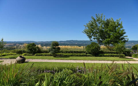 Podere Vigna Nuova: Cielo, Verde, Natura, Albero, Erba, Ambiente Naturale, Foglia, Paesaggio Naturale, Vegetazione