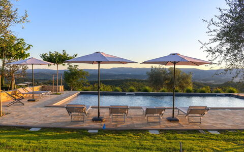 Podere Vigna Nuova: Cielo, Albero, Piscina, Mobili Da Esterno, Lettino, Ricorrere, Ombrello, Eco Hotel, Landscaping, Resort Citta '