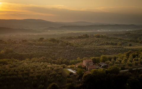 Villa Olivo: Natura, Vegetazione, Paesaggio Naturale, Orizzonte, Paesaggio, Collina, Ecoregione, Pascolo, Area Rurale, Sera