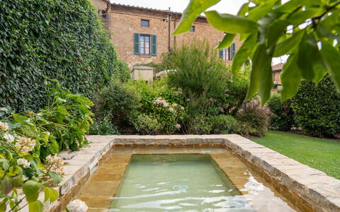 Town House Garden: Arbusto, Giardino, Giochi D'Acqua, Landscaping, Backyard, Hedge, Cortile, Piscina, Flagstone, Giardino Botanico