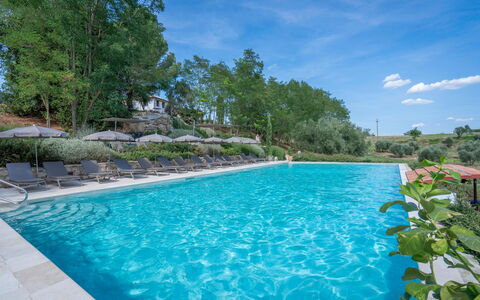 Belmonte Spereto Apartment With Pool, Montaione: Piscina, Ricorrere, Mobili Da Esterno, Eco Hotel, Lettino, Giardino, Landscaping, Terme, Resort Citta ', Hacienda