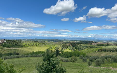 Belmonte Spereto Apartment With Pool, Montaione: Cielo, Giorno, Ambiente Naturale, Erba, Natura, Nube, Orizzonte, Vegetazione, Paesaggio Naturale, Pascolo