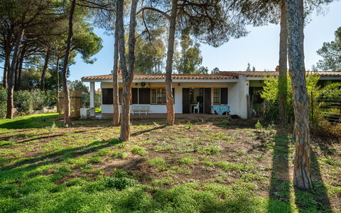 Villasimius 674: Albero, Erba, Foglia, Casa, Arbusto, Casa, Lotto, Villetta, Estate