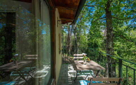 Grace Home, Pool, Wifi, Gambassi Terme: Legna, Mobilia, Foresta, Sedia, Portico, Riserva Naturale, Giungla, Latifoglie, Shade, Luce Del Sole