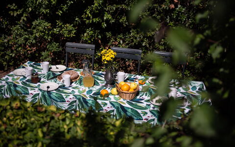 Green Hill Apartment In Tuscan Countryside: Tovaglia, Biancheria, Serveware, Cibo, Tavolo Esterno, Dishware, Produrre, Frutta, Mobili Da Esterno