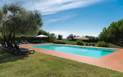 Green Hill Apartment In Tuscan Countryside: Estate, Piscina, Hacienda, Landscaping, Ricorrere, Piantagione, Eco Hotel, Villa, Agriturismo