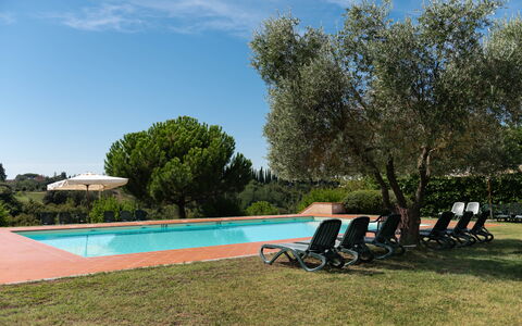 Green Hill Apartment In Tuscan Countryside: Piscina, Ricorrere, Hacienda, Giardino, Estate, Landscaping, Eco Hotel, Shade, Mobili Da Esterno, Villa