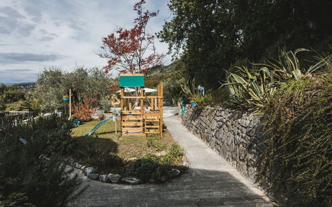 Villa Vernazza: Arbusto, Giardino, Primavera, Landscaping, Shade, Giardino Botanico
