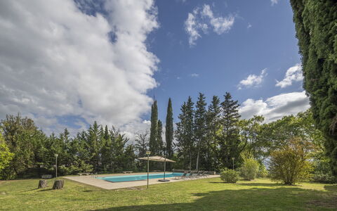 Cottage Monti Pet Friendly With Shared Pool: Albero, Lotto, Shade, Larice, Landscaping, Sempreverde, Piscina, Pine Famiglia