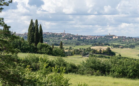 Capanna Di Elfo: Erba, Pascolo, Vegetazione, Orizzonte, Paesaggio, Ecoregione, Plain, Lotto, Comunita 'Impianto, Prato