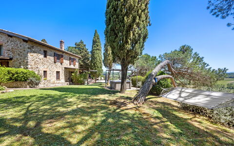 Capanna al Lago, Chianti Heritage in Vineyards: Albero, Giardino, Estate, Landscaping, Agriturismo, Villa, Sempreverde, Pine Famiglia