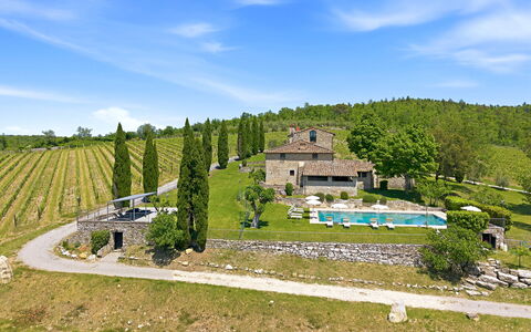 Villa del Chianti: Vineyards & View: Casa, Casa, Estate, Villetta, Agriturismo, Giardino, Landscaping, Villa, Cortile, Villaggio