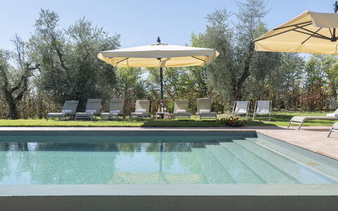 Villa del Mangia - Luxury Villa with Infinity Pool: Piscina, Ricorrere, Mobili Da Esterno, Shade, Giardino, Lettino, Eco Hotel, Landscaping, Prato, Sedia
