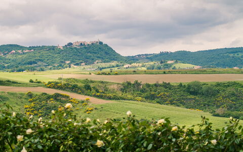 Villa Petrosa: Your Private Escape Overlooking the: Verde, Vegetazione, Paesaggio Naturale, Collina, Pascolo, Paesaggio, Area Rurale, Piantagione, Plain, Campo