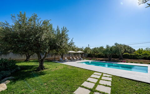 Villa Virginia: Piscina, Giardino, Shade, Ricorrere, Landscaping, Estate, Backyard, Design, Cortile, Cortile