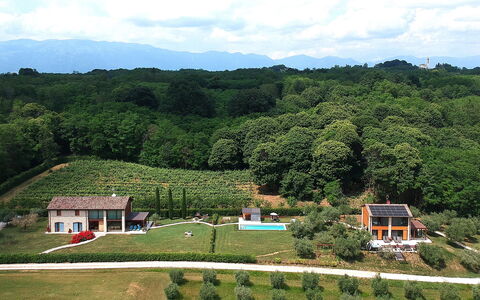 Villa Montello Pool, Jacuzzi, Ac, Wifi, Treviso: Paesaggio Naturale, Area Rurale, Paesaggio, Piantagione, Lotto, Plain, Hill Station, Campo, Villetta, Visione Globale