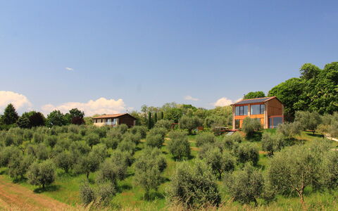 Villa Montello Pool, Jacuzzi, Ac, Wifi, Treviso: Albero, Erba, Arbusto, Casa, Area Rurale, Lotto, Casa, Comunita 'Impianto, Villetta
