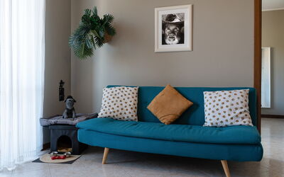 La Casa del Saggio: Mobilia, Interior Design, Cuscino, Divano, Pavimento, Pavimentazione, Tessile, Lancia Cuscino, Soggiorno, Camera
