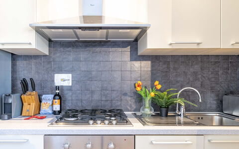Green Suite Florence: Elettrodomestico Da Cucina, Cucina, Controsoffitto, Apparecchio Major, Cucina Stufa, Elettrodomestico, Cabinetry, Stufa, Stufa A Gas, Lavandino Della Cucina