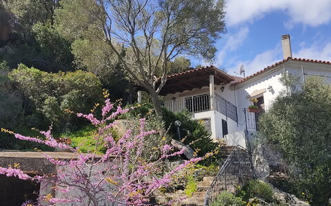 Belvedere Apartment Ac, Budoni: Albero, Ramo, Vegetazione, Arbusto, Primavera, Ramoscello, Giardino, Fiorire, Balcone