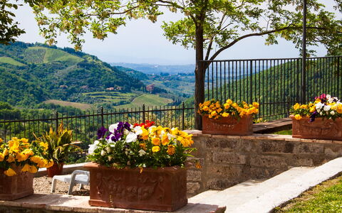 Agriturismo Casa Da Pietro: Vaso Di Fiori, Collina, Primavera, Pianta Della Casa, Giardino, Recinzione, Landscaping, Tavolo Esterno, Fiorai