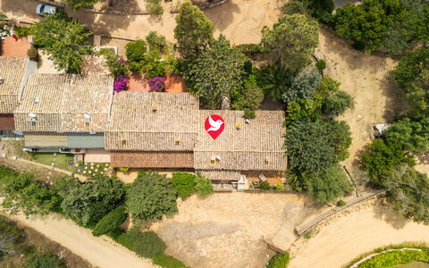 Casa ai Mandorli: Albero, Paesaggio, Zona Residenziale, Visione Globale, Giardino, Landscaping, Fotografia Aerea, Estate, Sobborgo, Villaggio