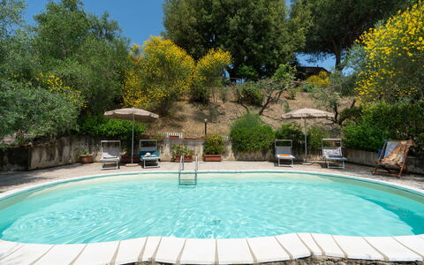 Casa Livia: Piscina, Mobilia, Mobili Da Esterno, Sedia, Ricorrere, Ombrello, Shade, Tavolo Esterno, Giardino, Backyard