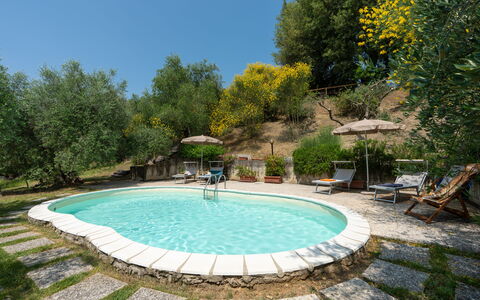 Casa Livia: Piscina, Mobili Da Esterno, Mobilia, Sedia, Ricorrere, Backyard, Shade, Giardino, Eco Hotel, Landscaping