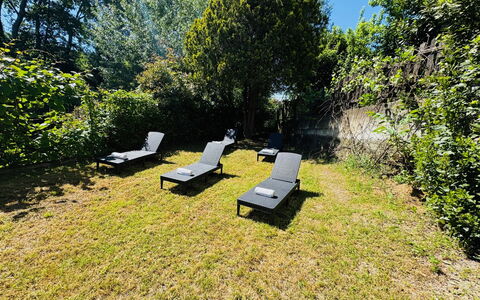 Cottage Wisteria: Verde, Foglia, Vegetazione, Arbusto, Giardino, Mobili Da Esterno, Groundcover, Luce Del Sole, Shade, Prato