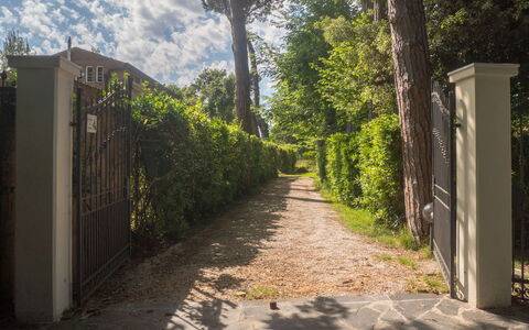 Casa Carla: Foglia, Verde, Natura, Vegetazione, Arbusto, Giardino, Luce Del Sole, Shade, Primavera, Trail