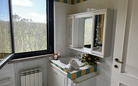 Green Hills 13: Idraulico Fixture, Lavello, Lavandino Del Bagno, Interior Design, Rubinetto, Idraulico, Bagno, Controsoffitto, Camera, Specchio