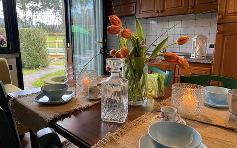 Green Hills 13: Tavola, Mobilia, Serveware, Tavolo, Bicchieri, Dishware, Vaso Di Fiori, Sedia, Cibo
