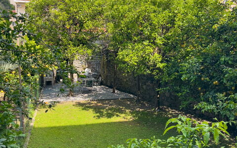 Corso Roma 15 Vacanze - Levanto: Verde, Foglia, Vegetazione, Arbusto, Giardino, Groundcover, Primavera, Landscaping, Backyard, Cortile