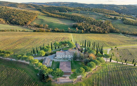 Passignano: Paesaggio, Estate, Plain, Lotto, Area Rurale, Piantagione, Campo, Visione Globale, Dimora, Villaggio