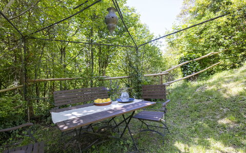 Il Castagneto: Comunita 'Impianto, Giungla, Giardino, Shade, Woodland, Valdiviana Temperate Rain Forest, Struttura Esterna, Foresta Pluviale, Backyard