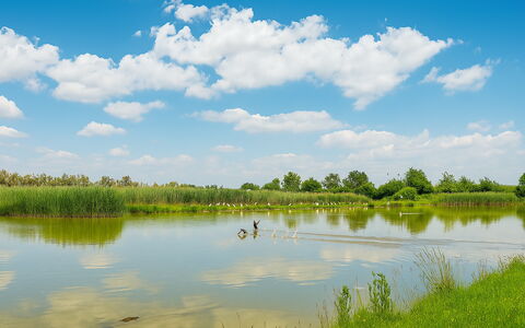 Venice Photobirding, Nature And Culture: Cielo, Blu, Acqua, Risorse Idriche, Natura, Ambiente Naturale, Verde, Paesaggio Naturale, Nube, Palude