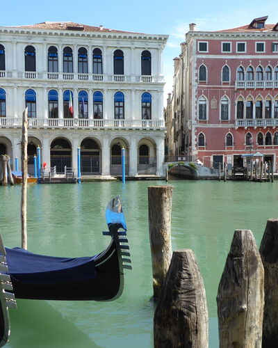 Venice Photobirding, Nature And Culture: Barca, Corpo D'Acqua, Barche E Nautica - Macchine E Materiali, Moto D'Acqua, Costruzione, Waterway, Canale, Canale, Alveo