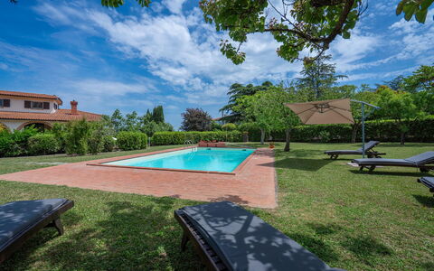 Il Campino, Pool, Montaione: Blu, Arbusto, Giardino, Piscina, Estate, Hacienda, Prato, Shade, Landscaping, Villa
